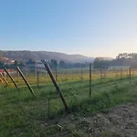 Quinta De Grejufe - *
