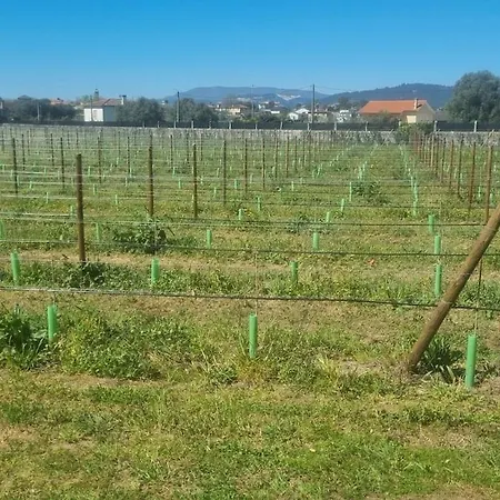 Nyaraló Quinta Exclusiva -