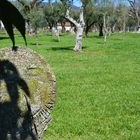 Nyaraló Quinta Exclusiva - Ponte de Lima