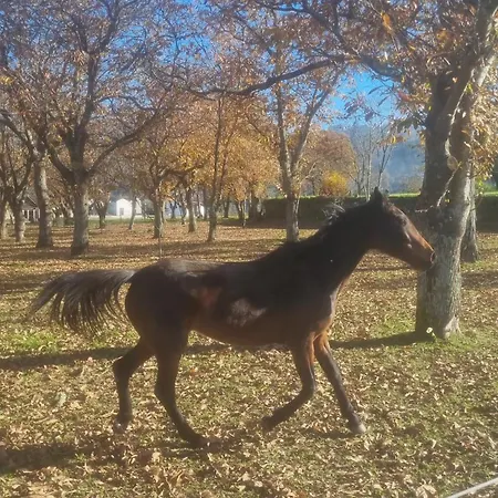 Quinta Exclusiva - Nyaraló