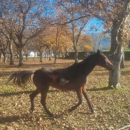 Farma Quinta De Grejufe -