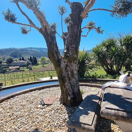 Farma Quinta De Grejufe -