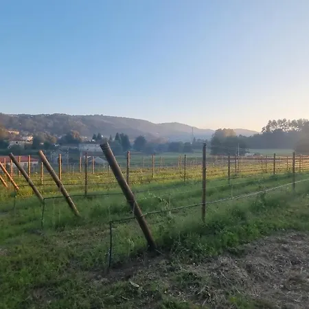 Quinta De Grejufe - *