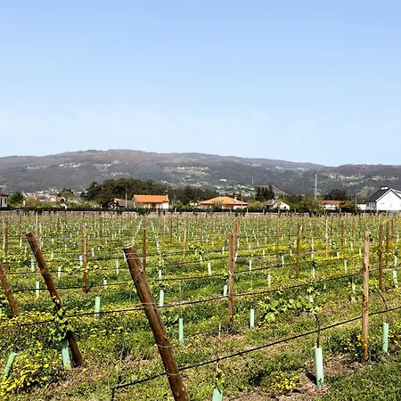 Quinta De Grejufe - Çiftlik konaklama *