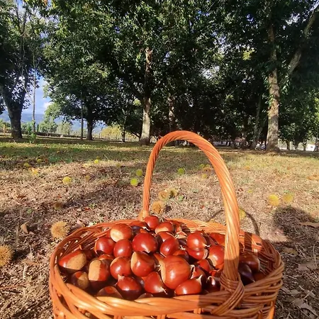 Feriegård Quinta De Grejufe - *