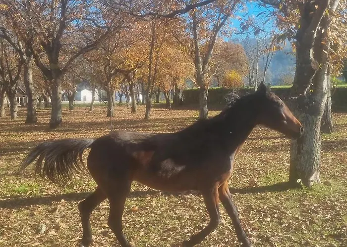 Farma Quinta De Grejufe -