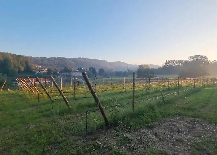 Quinta De Grejufe - *